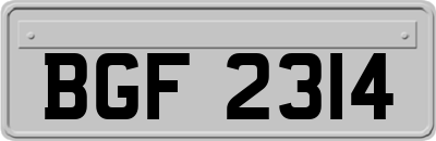 BGF2314