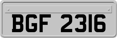 BGF2316
