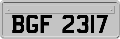 BGF2317