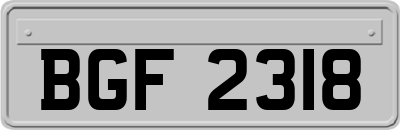 BGF2318