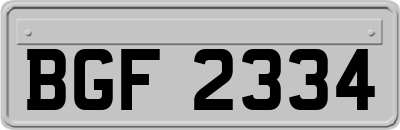 BGF2334