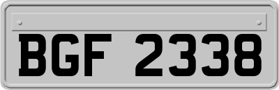 BGF2338