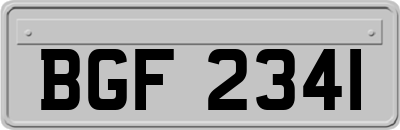 BGF2341
