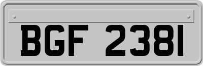 BGF2381