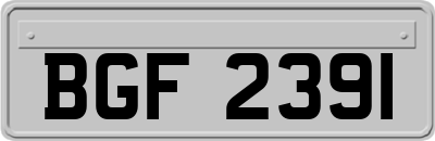 BGF2391