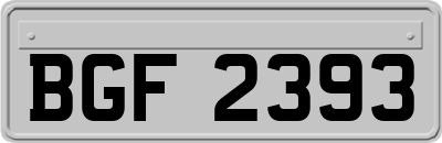 BGF2393