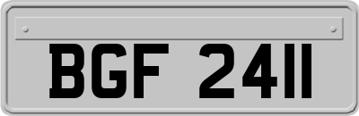 BGF2411