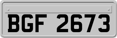 BGF2673