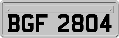 BGF2804