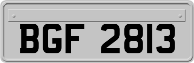 BGF2813