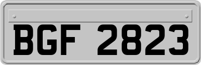 BGF2823