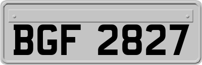 BGF2827
