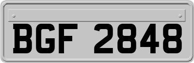 BGF2848