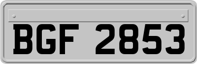 BGF2853