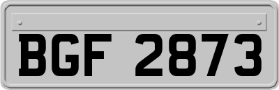 BGF2873