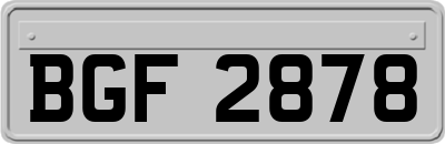 BGF2878