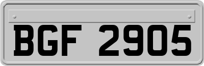 BGF2905