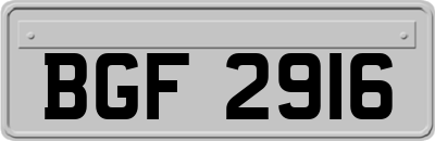 BGF2916