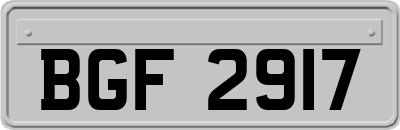 BGF2917