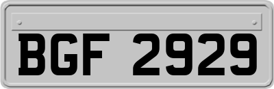 BGF2929