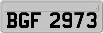 BGF2973