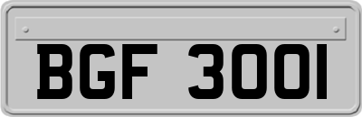 BGF3001