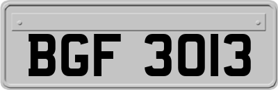 BGF3013