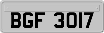BGF3017