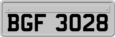 BGF3028