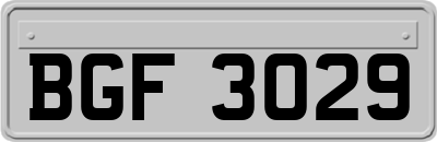 BGF3029