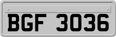 BGF3036