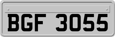BGF3055