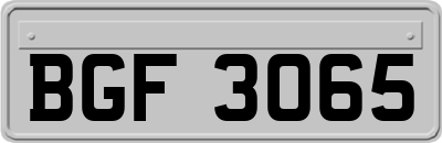 BGF3065
