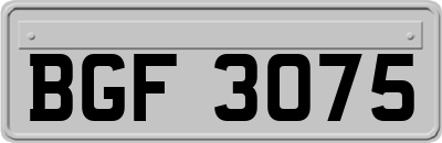 BGF3075