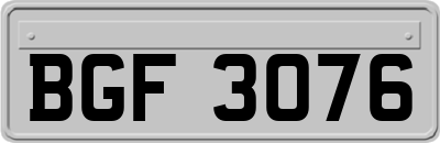 BGF3076