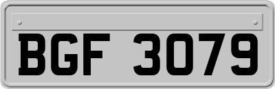 BGF3079