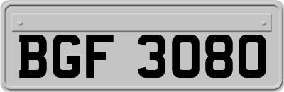 BGF3080