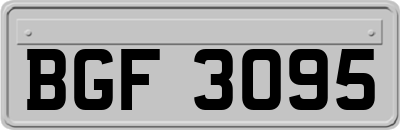 BGF3095