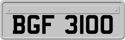 BGF3100