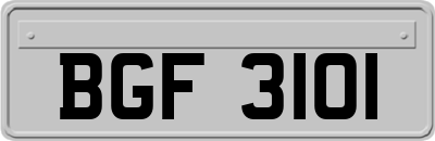 BGF3101