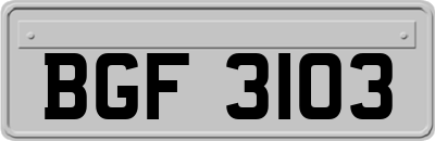 BGF3103