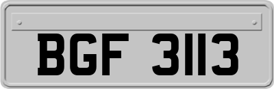 BGF3113