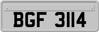 BGF3114