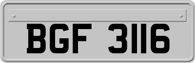 BGF3116