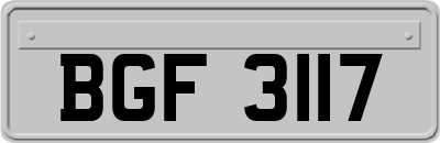 BGF3117