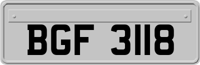 BGF3118