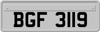 BGF3119