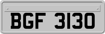 BGF3130