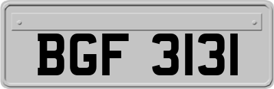 BGF3131