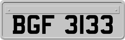 BGF3133